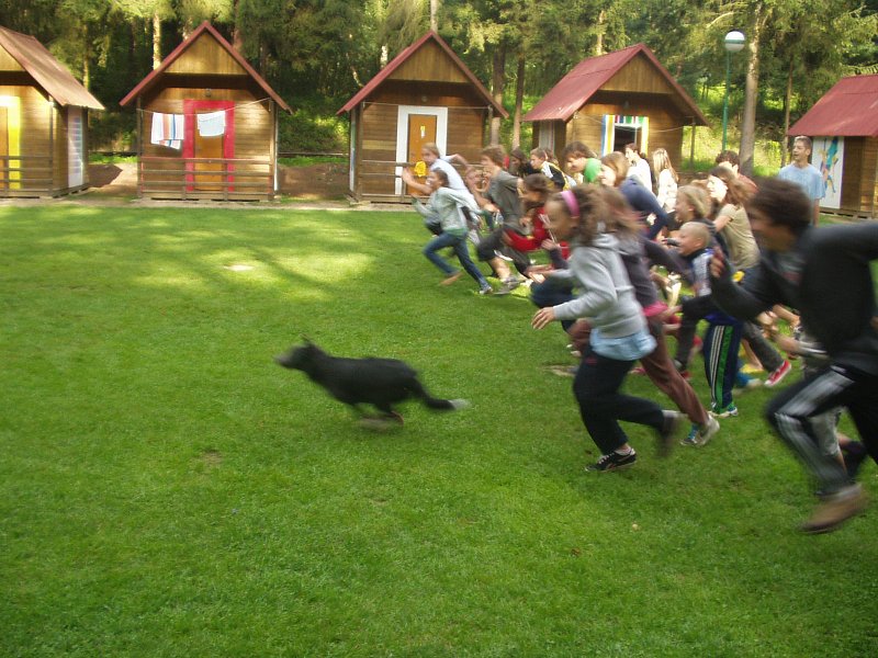 P1010092.jpg