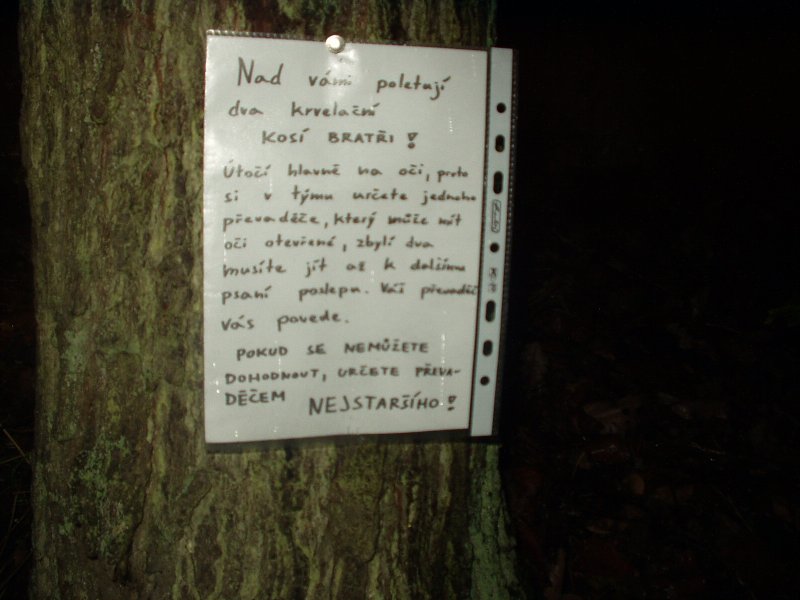 img00009.jpg