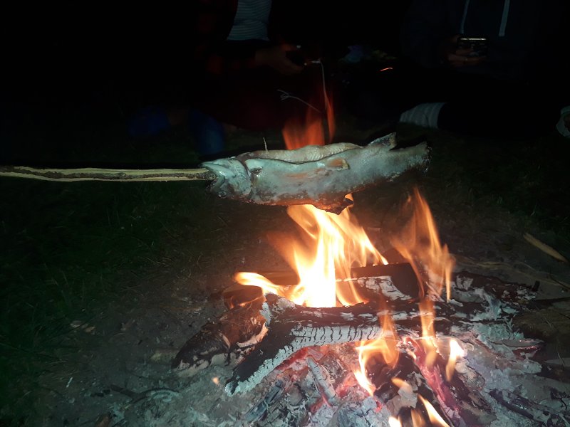 img00009.jpg